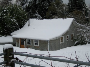 Our House in the Snow